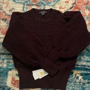 NEW French connection sweater